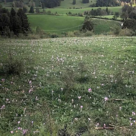 Attico Con Vista Altopianoasiago Roana Exterior foto