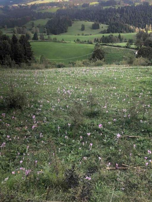 Attico Con Vista Altopianoasiago *